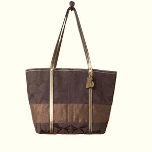EUC Coach Signature Jacquard Shimmer Stripe Chocolate Bag